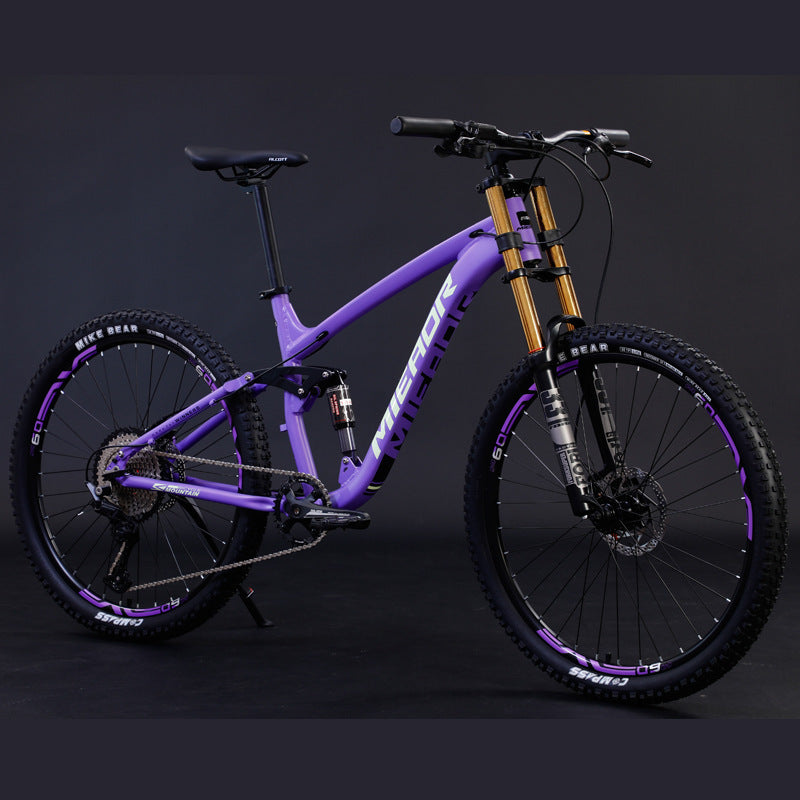 Aluminum Alloy Mountain Bike